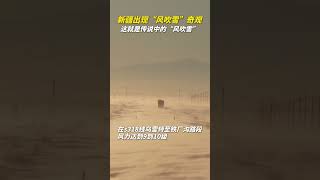 新疆出现“风吹雪”奇观！9到10级大风夹杂着雪花，犹如仙境。#shorts  #热点 #有趣 #中国社会 #社会新闻