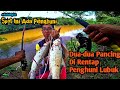 Rezeki Dapat Ikan Sedap  |  Lesen Pertama Mancing Di Sungai Kinta