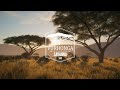 theHunter: Call of the Wild | Vurhonga Savanna Trailer