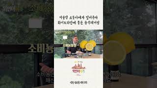 미슐랭 소믈리에 추천 소비뇽블랑 화이트와인과 어울리는 음식 #shorts #쇼츠