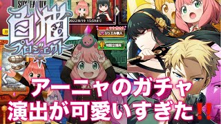 【白猫SPY×FAMILYコラボ】アーニャのガチャ演出が可愛いすぎた💕【ガチャ動画】