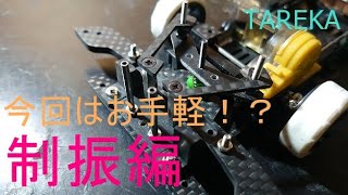 【ミニ四駆】かませ犬のミニ四駆　TAREKAマシン組むよ！制振編【TAREKA】