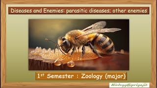 Honey Bee Defenders: Unmasking Diseases and Deadly Enemies! (Apiculture, Unit-8) Burdwan University.