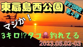 大ダコ‼️東扇島西公園で釣りしてたらでっけえタコ🐙に出会ってしまった❗️釣行調査第4弾❗️今回も徹夜の17時間我慢釣行❗️東扇島西公園編Part10