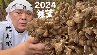 きのこ狩り】舞茸を採りまくる動画