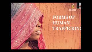 Ep 1: Human Trafficking 101