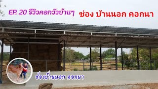 รีวิวคอกวัวของช่องบ้านนอกคอกนา พร้อมแนะนำข้อดีข้อเสียของพื้นคอกแบบพื้นปูนกับพื้นดิน