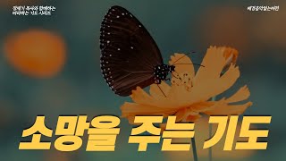 (따라하는 기도시리즈) 023 소망의 기도, 잠자며 듣는 기도(No BGM, 배경음악없어요), 소망을 주는 기도, 희망의 기도, 희망을 주는 기도 / 장재기 목사 [8시간]