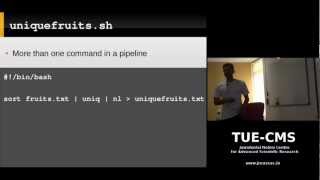 Linux Command Line: Day 3: Bash Shell Scripting