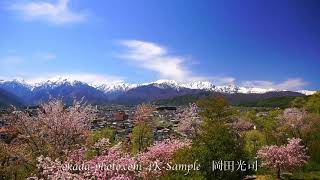 大町公園の桜と北アルプスと流れる雲　長野県大町市　FUKEI 75931