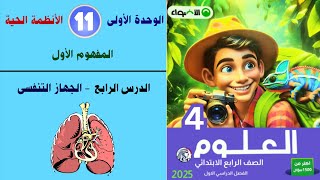 الحلقة 11| علوم  الصف الرابع الإبتدائى كتاب الأضواء 2024  |  الجهاز التنفسى