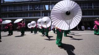 2014犬山踊芸祭　春日井疾風演舞　下本町会場B