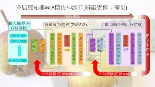 【機器學習】多元分類與多層感知器MLP的原理與實作：辨識鳶尾花及預測股市漲跌(cc字幕)