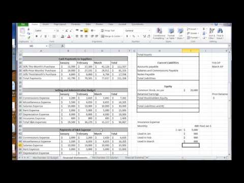 Budgeted Financials - Merchandiser Budgeted Financials - Merchandiser