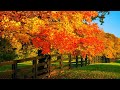 Autumn Fields, Beautiful Relaxing Music, Peaceful  Soothing  Instrumental Music, 