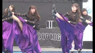 湘南祭2024 パルバル湘南スポーツクラブ 「百花繚乱」