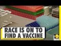 The race to develop COVID-19 vaccine | Coronavirus Pandemic