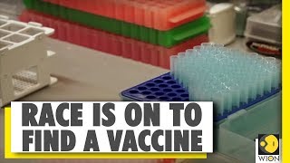 The race to develop COVID-19 vaccine | Coronavirus Pandemic