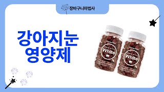 강아지눈영양제 리뷰와 추천 제품 총정리