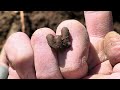 We found all kinds of good stuff metal detecting a  cellar hole & Jesus gain