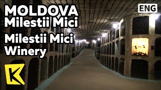 【K】Moldova Travel-Milestii Mici[몰도바 여행-밀레스티 미치]밀레스티 미치 와이너리/Wine/Individual cellar/Granite mine