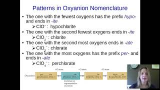 Chapter 2 Part 2 Notes - Summer Assignment