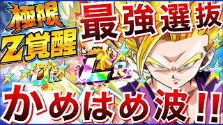 【ドッカンバトル】選ばれたのは...。極限『かめはめ波』最強選抜！！ドカバト7周年【Dokkan Battle】【地球育ちのげるし】