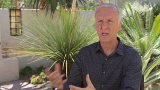 James Cameron Talks New Zealand Culture, and How it Influenced Avatar | Travel + Leisure