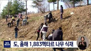 전북도, 올해 1,883헥타르 나무 식재 | 전주MBC 220316 방송