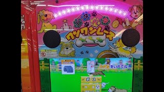 キッズ台　ドタバタワンワンレースプレイ動画　短編