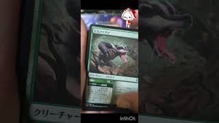 【MTG開封】バルダーズゲート【補充】15