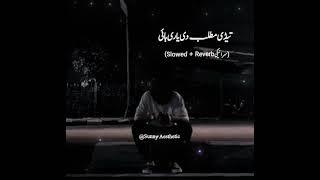 Tadi Matlab Di Yari Haee || Saraiki Sad song || Saraiki Slowed + Reverb || By Sunny Aesthetic ❤️