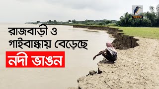 রাজবাড়ী ও গাইবান্ধায় নদী  ভাঙ্গনের বিলীন কয়েক হাজার হেক্টর জমি | Maasranga News