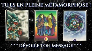 🌟 Ce Que l’Univers Veut Que Tu Comprennes Maintenant 🌟 Tirage Tarot Intemporel