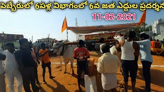 పెబ్బేరులో 6పళ్ల విభాగంలో 6వ జత ఎద్దుల బల ప్రదర్శన | Pebbair Bull race | Ongole Bulls @purnafarms