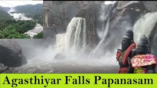 Agasthiyar Falls | பாபநாசம் அகஸ்தியர் அருவி | Agasthiyar Falls Papanasam |Falls| Papanasam|தாமிரபரணி