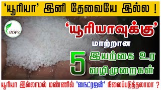 யூரியாவிற்கு மாற்றான 5 இயற்கை வழி உரமுறைகள் | Alternative For UREA | The Crops Garden | (TCG)