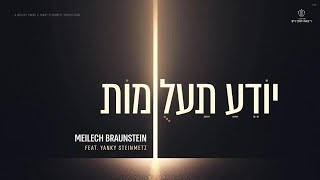 Yodeah Ta'alumos - Meilech Braunstein சாதனை. யாங்கி ஸ்டெய்ன்மெட்ஸ் | யோடே டோலோமோத் - மைல்ச் ப்ரோயின்ஷ்டிய்ன்