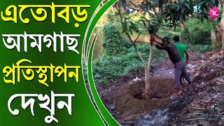 See Love for Trees – Gardening - গাছের প্রতি ভালোবাসা দেখুন | RC Farming