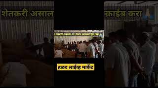 Sangli turmeric live market!सांगली हळद लाईव्ह मार्केट #हळदबाजारभाव #sangliturmericliverates #हळद