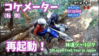 コケ(転倒)メーター再起動！【林道ツーリング / Off-Road Trail Motorcycle Tour in Japan】Vol.020