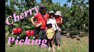 CHERRY PICKING 2019 ||FILIPINA-SPANISH FAMILY