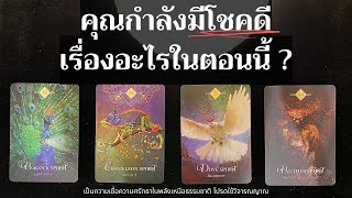 คุณกำลังมีโชคดีเรื่องอะไรในตอนนี้ ? ✨🍁🍂✨| Pick a card