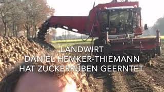 Rübenpampers Zuckerrüben Einlagerung Biogas Nachwachsende Rohstoffe Landwirtschaft