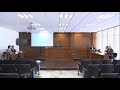 audiencia preliminar y de juicio