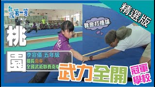 台灣第一等【武林學校拳拳到肉  小藝高膽大摘冠軍】桃園_精選版