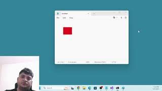 Display Image in Notepad Using C and Win32 API | Windows Programming Tutorial