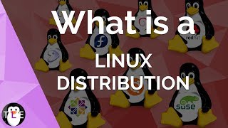 Linux DISTRIBUTION:  explained