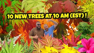 10 New Trees at 10 AM (EST) | Japanese Maples and Awesome Plants For The Home Garden