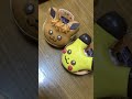 【ミスタードーナツ 】ポケモン　ピカチュウ＆イーブイ💕　 mister donut pokemon pikachu u0026 eevee 💕